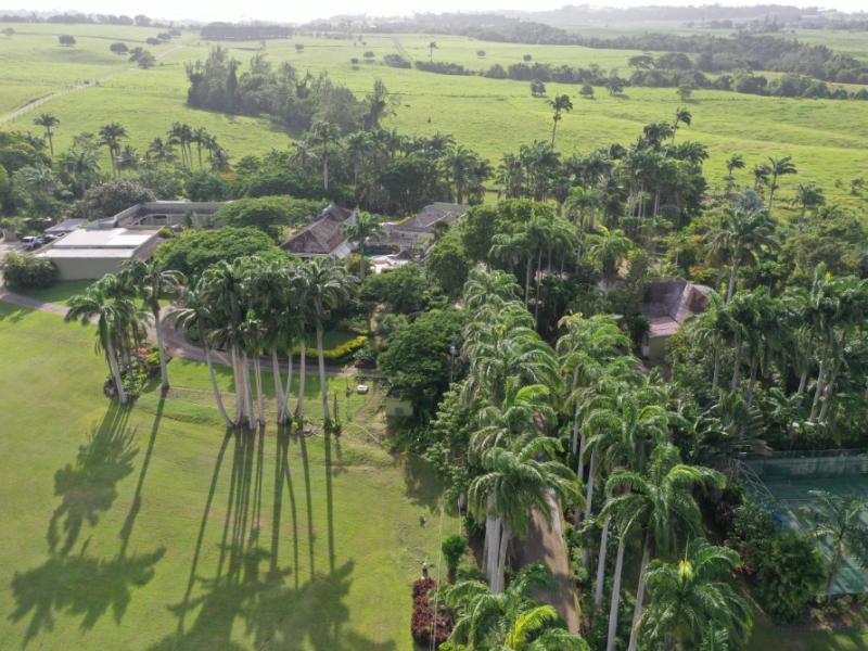 Strong Hope Plantation , St Thomas 