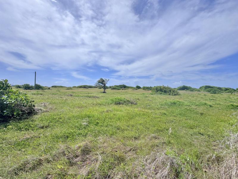 Atlantic Heights Phase 1A, Lot 29 , East Coast , St Philip 