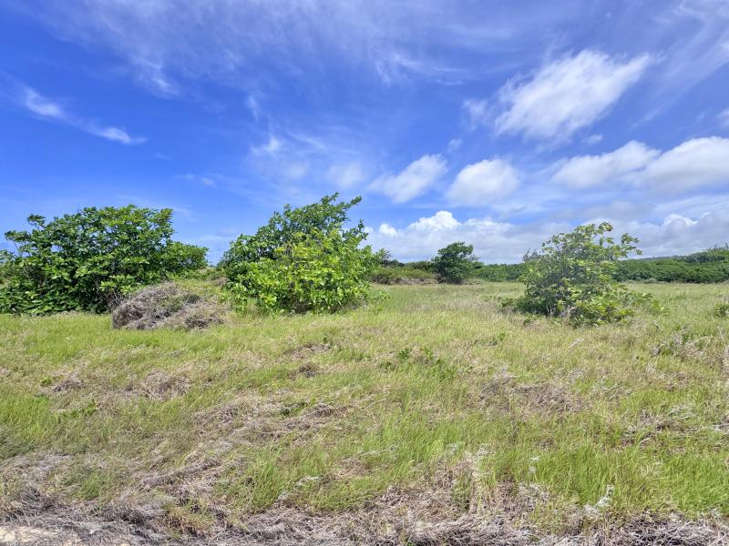 Atlantic Heights Phase 1A, Lot 7 , St Philip 