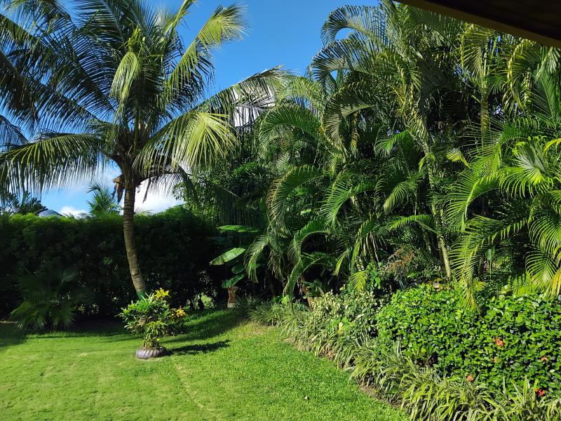 Hakuna Matata , Holetown , St James , West Coast 