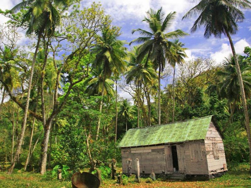 Anse Mahaut Estate , Soufriere 
