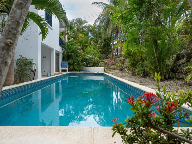 Sunset Blue , Holetown , St James , West Coast 