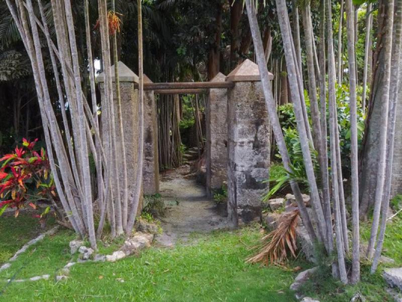 Apes Hill Plantation , Apes Hill , St James , West Coast 