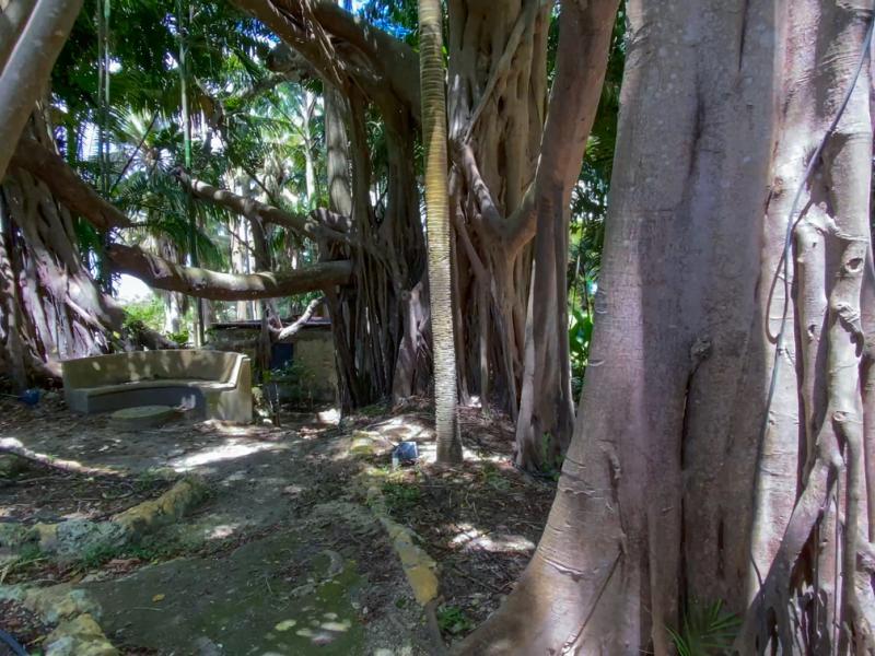 Apes Hill Plantation , Apes Hill , St James , West Coast 