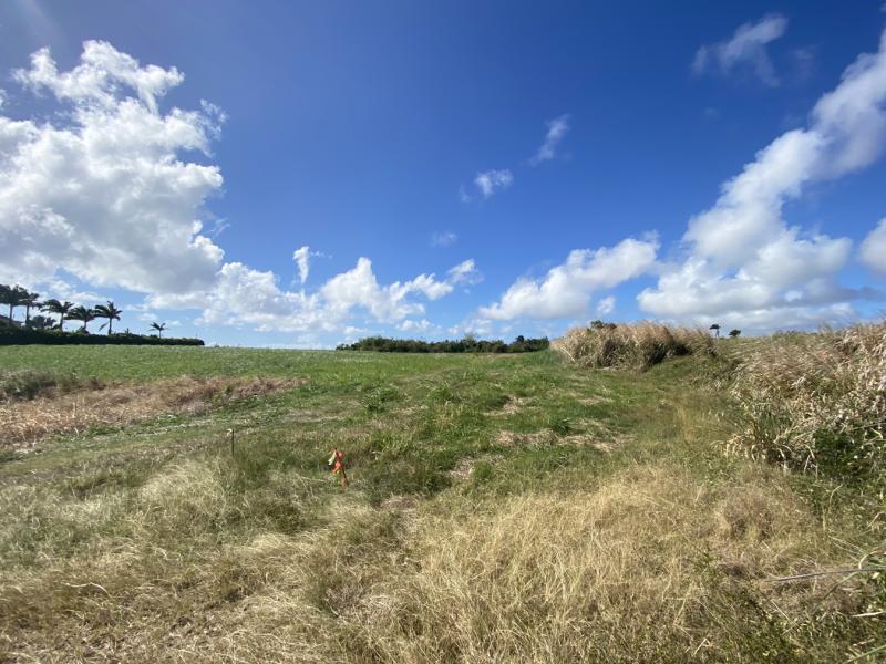 Lancaster Lot 1C A , St James , West Coast 