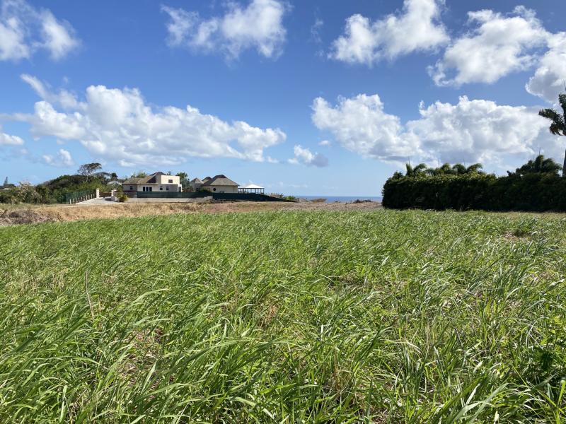 Lancaster Lot 1C A , St James , West Coast 