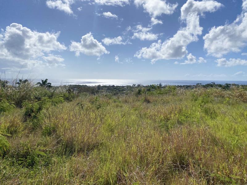 Lancaster Lot 1CB , St James , West Coast 