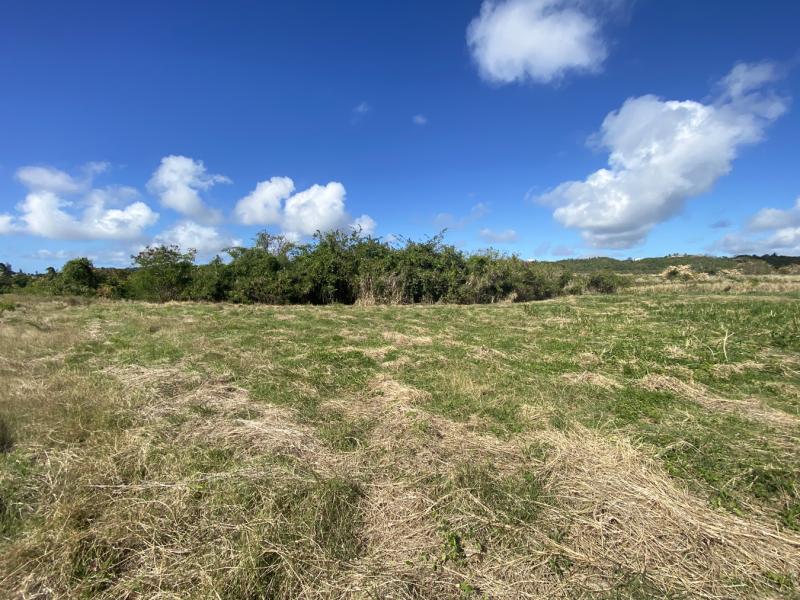 Lancaster Lot 1CB , St James , West Coast 