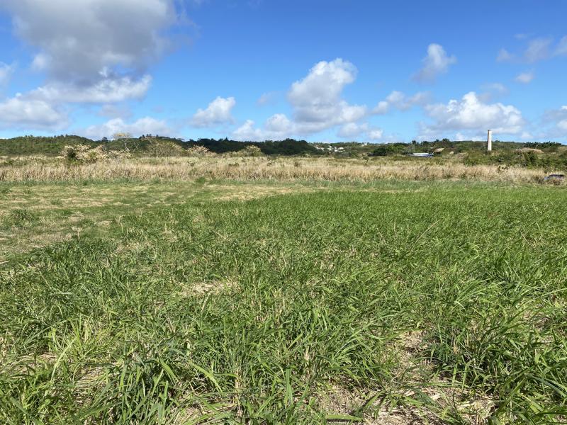 Lancaster Lot 1CB , St James , West Coast 
