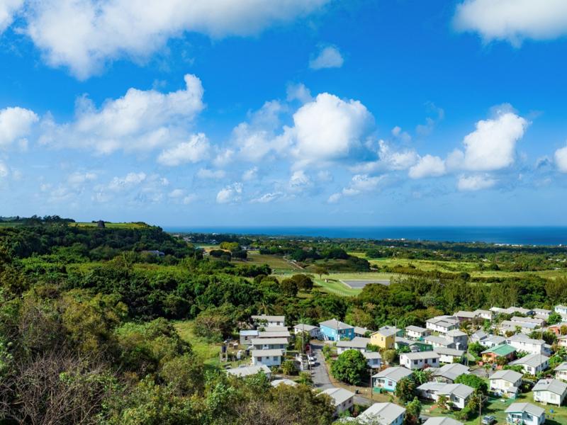 Mount Brevitor Plantation , St Peter , West Coast 