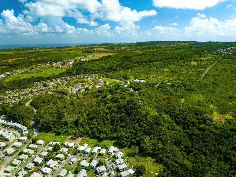 Mount Brevitor Plantation , St Peter , West Coast 