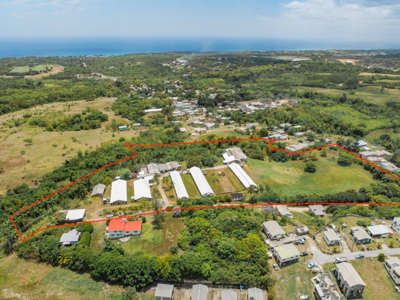 Rock Hall Land , St Thomas , West Coast 