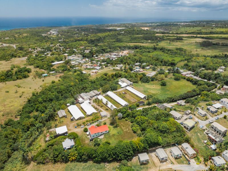 Rock Hall Land , St Thomas , West Coast 