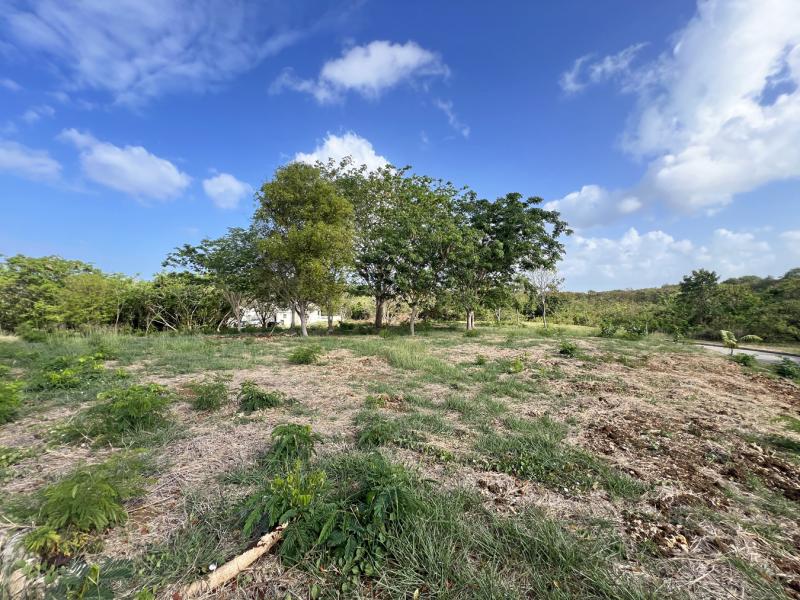 Heron Mill Estate Lot 22 , St Peter , West Coast 