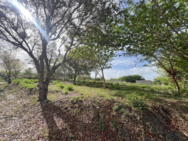 Heron Mill Estate Lot 22 , St Peter , West Coast 