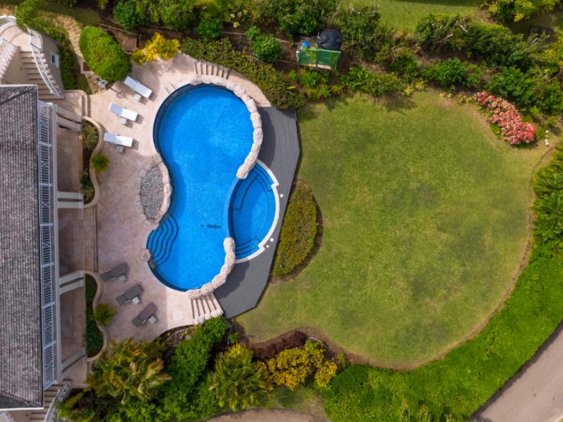 Sugar Hill - Bananaquit , St James , Sugar Hill , West Coast 