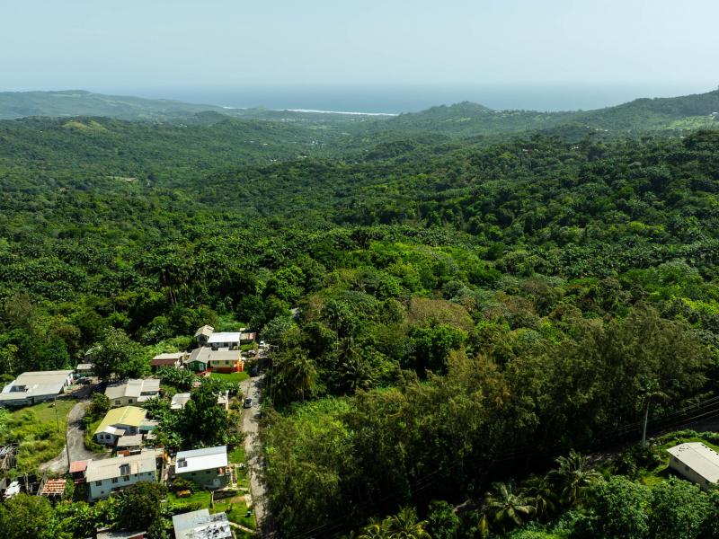Lot 3 Bloomsbury , St Thomas 