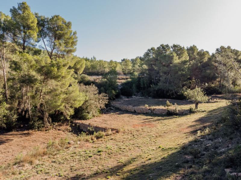 Project Can Saya Ibiza , Ibiza , San Miguel 