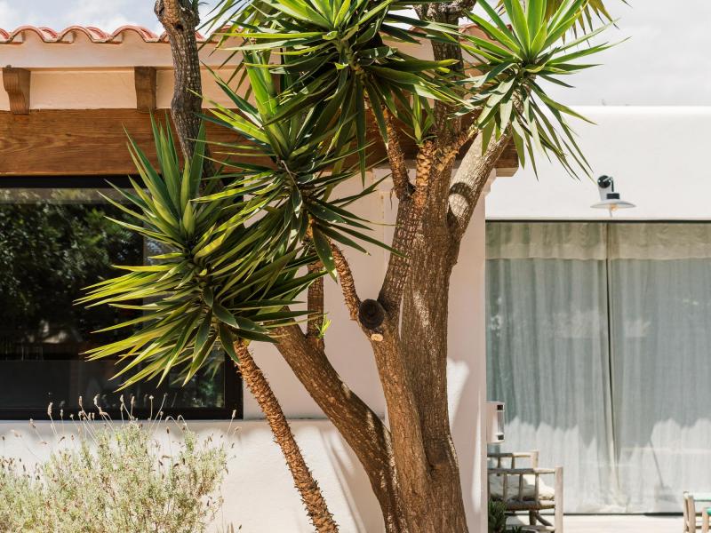 Renovated Ibicenco Villa for Sale Near Sa Caleta, Ibiza , Ibiza