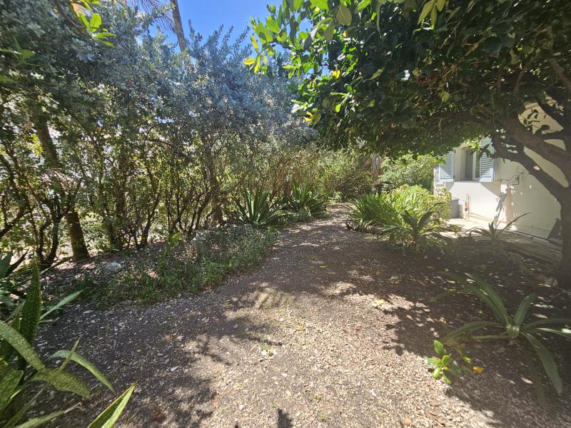 Inch Marlow, Sweet Song , Christ Church , South Coast 