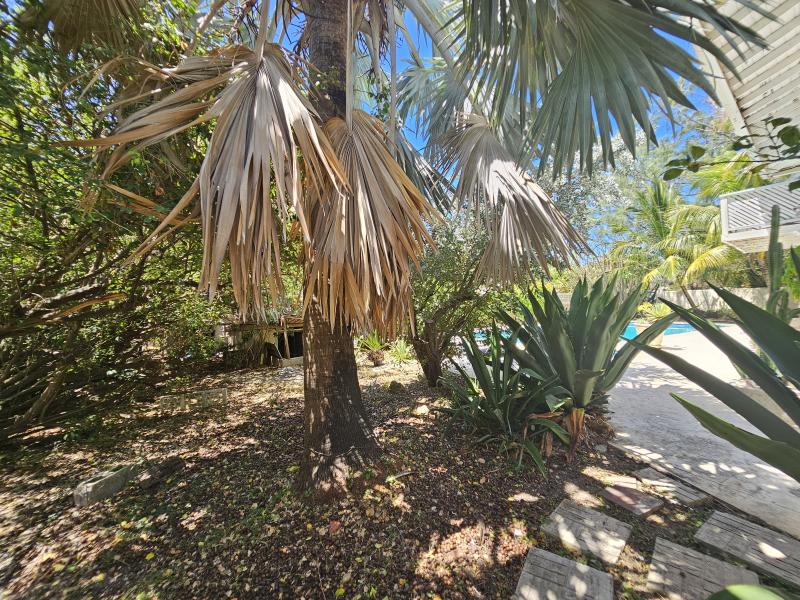 Inch Marlow, Sweet Song , Christ Church , South Coast 