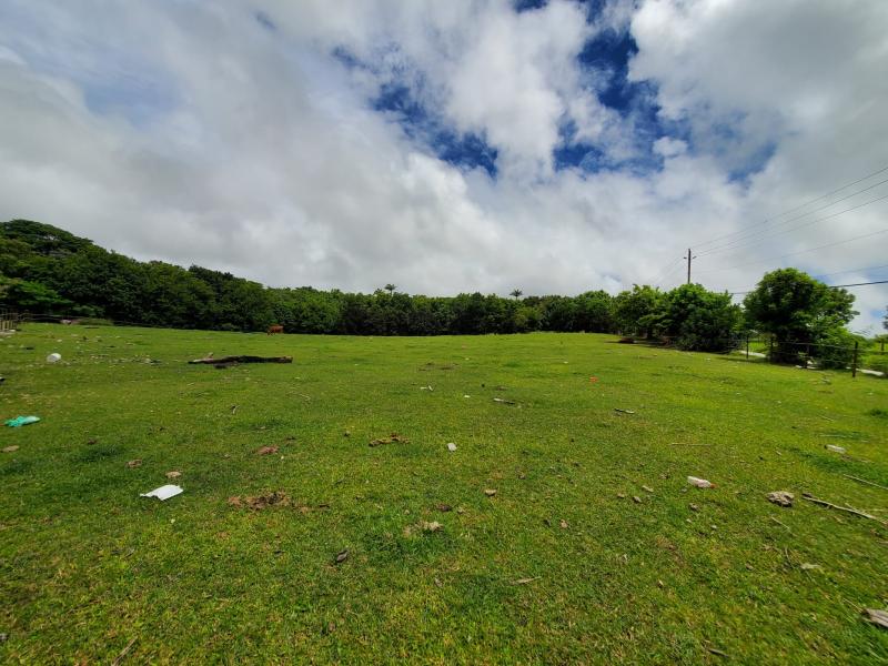 Land at Indian Pond , St Joseph 