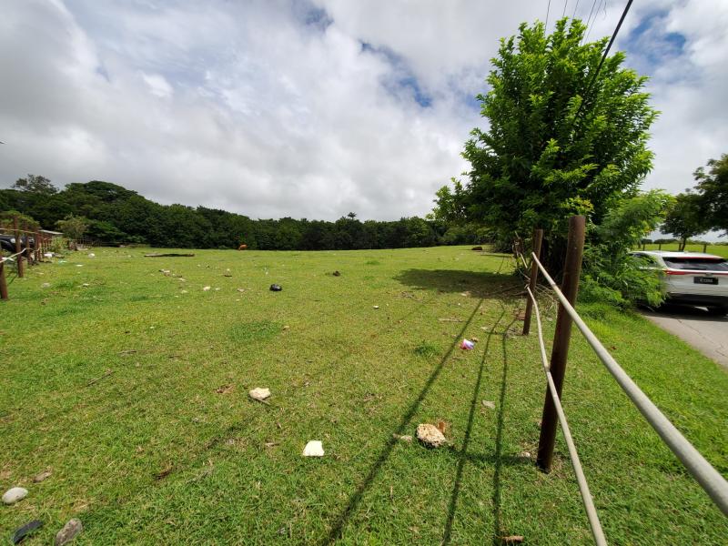 Land at Indian Pond , St Joseph 