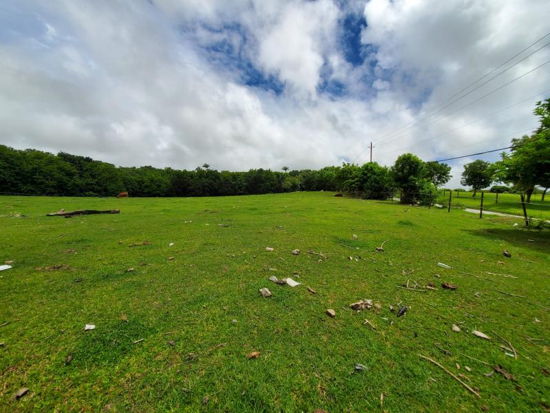 Land at Indian Pond , St Joseph 