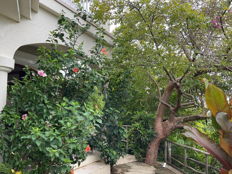 Villa Butterfly , Cap Estate , Gros lset 