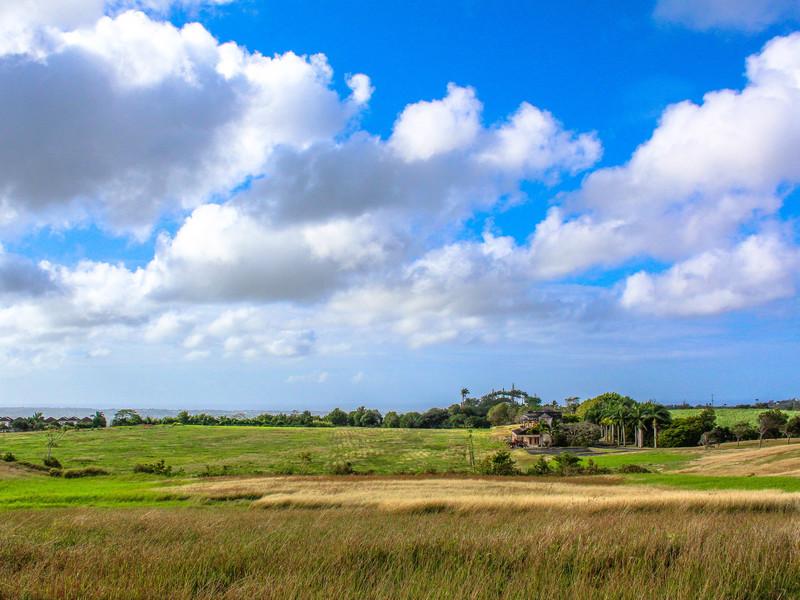Lion Castle Estate -Land for sale Barbados , St Thomas 