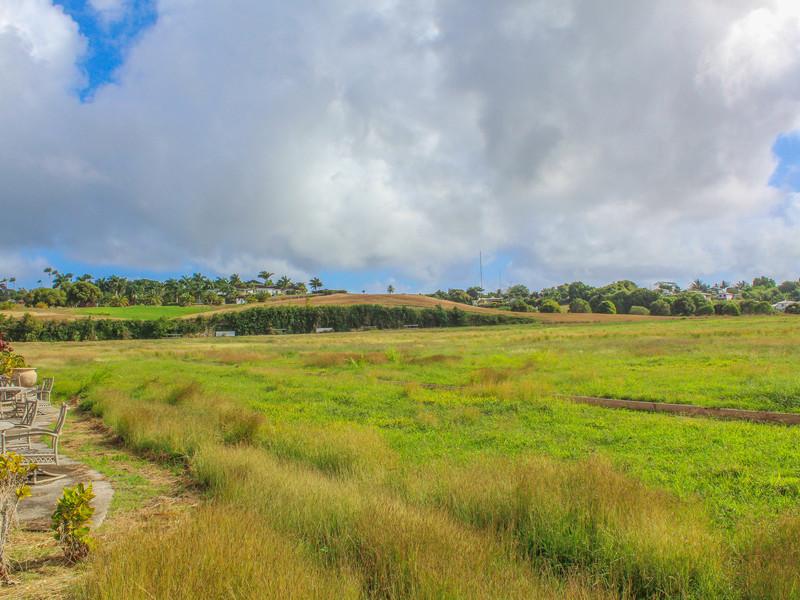 Lion Castle Estate -Land for sale Barbados , St Thomas 