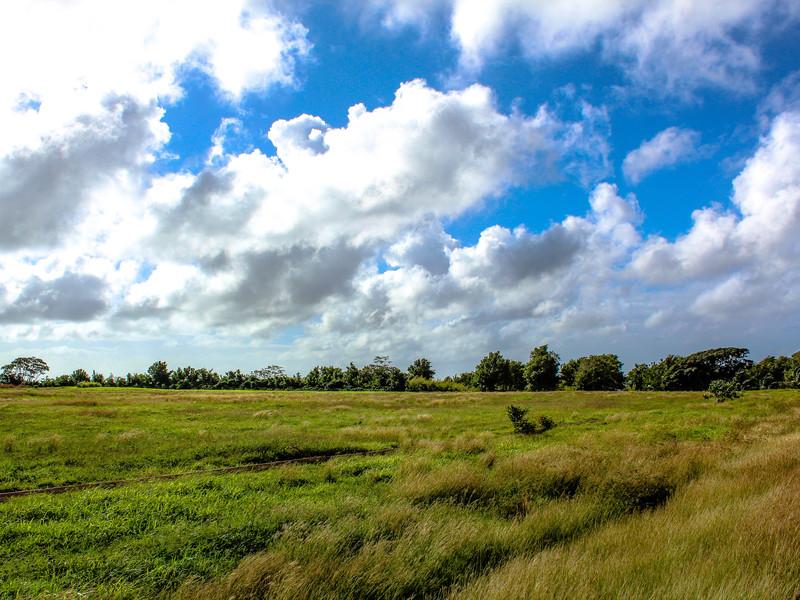 Lion Castle Estate -Land for sale Barbados , St Thomas 