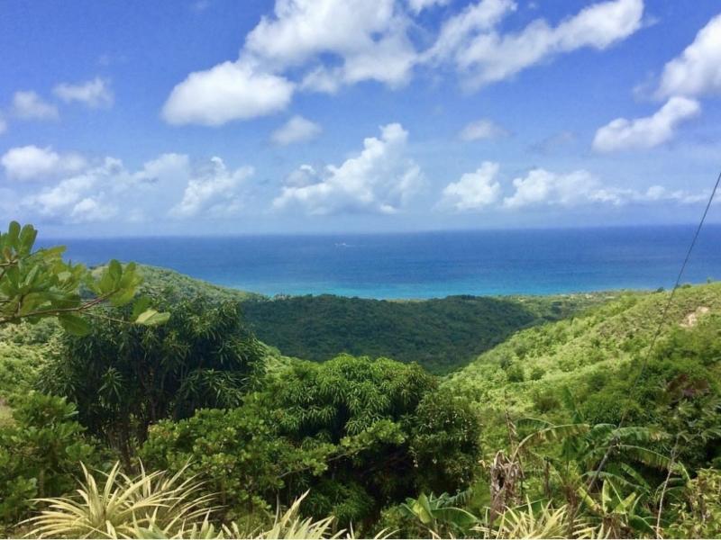 Morne Paul Development Land , 
