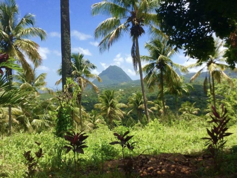 Morne Paul Development Land , 