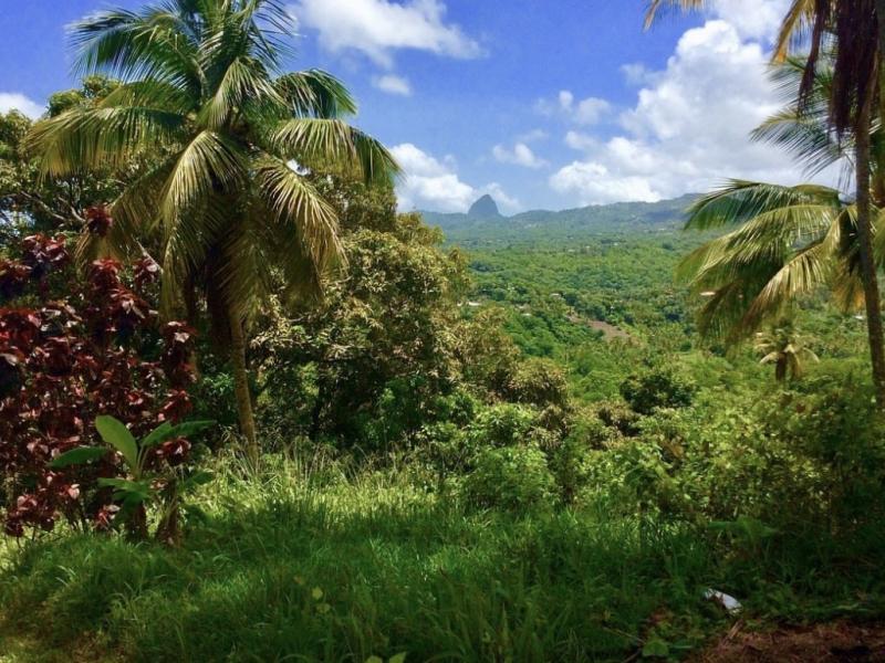 Morne Paul Development Land , 