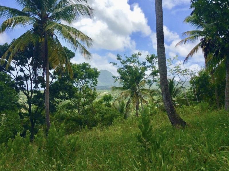 Morne Paul Development Land , 