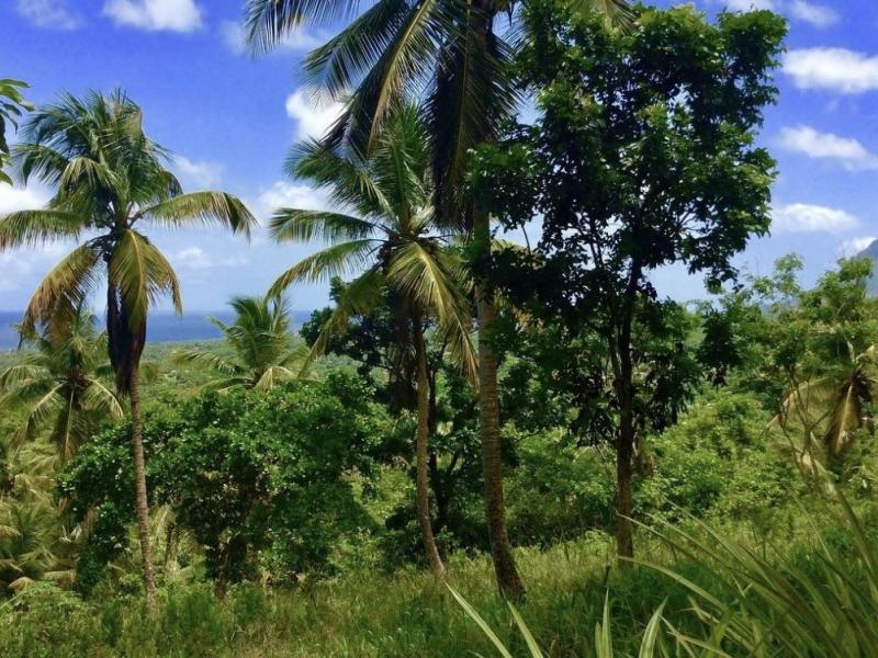Morne Paul Development Land , 
