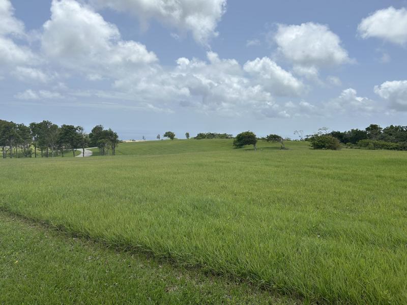 Apes Hill, Holders Meadow Lot H16 , Apes Hill , St Andrew 
