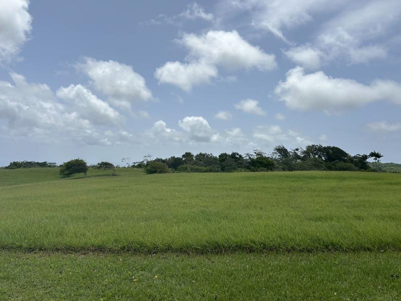Apes Hill, Holders Meadow Lot H16 , Apes Hill , St Andrew 