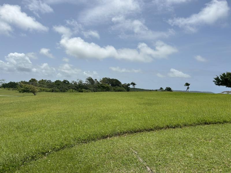 Apes Hill, Holders Meadow Lot H16 , Apes Hill , St Andrew 