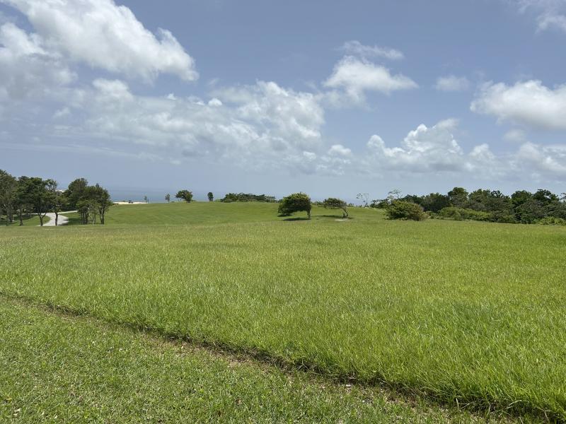 Apes Hill, Holders Meadow Lot H16 , Apes Hill , St Andrew 