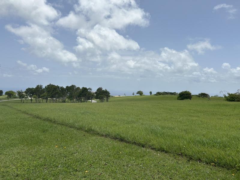 Apes Hill, Holders Meadow Lot H16 , Apes Hill , St Andrew 