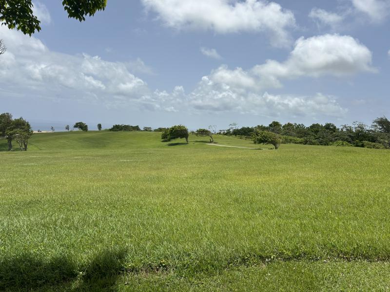 Apes Hill, Holders Meadow Lot H16 , Apes Hill , St Andrew 