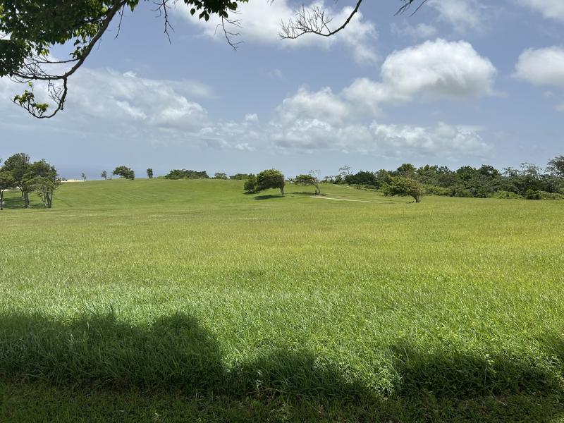 Apes Hill, Holders Meadow Lot H16 , Apes Hill , St Andrew 