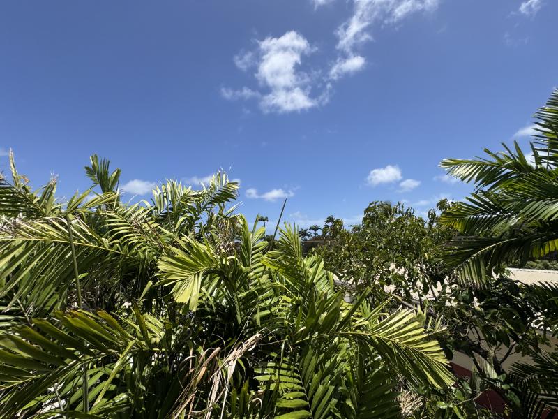 Glitter Bay Terrace 2 , Holetown , Porters , St James , West Coast 