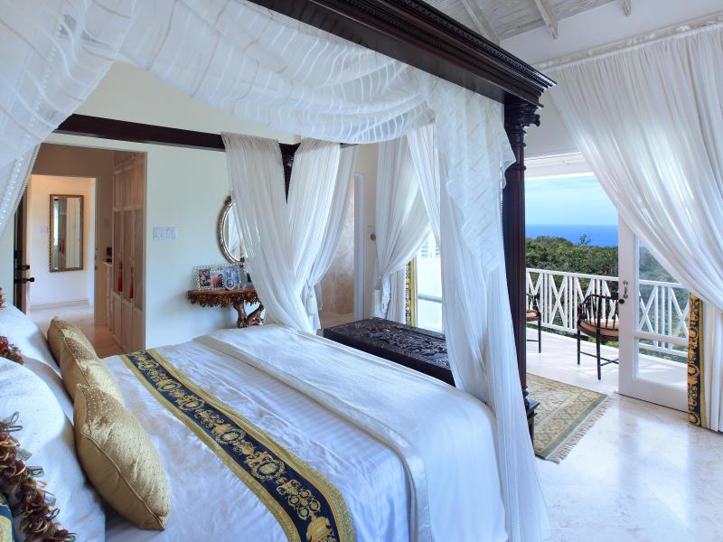 In the Trees - Sion Hill , St James , West Coast 