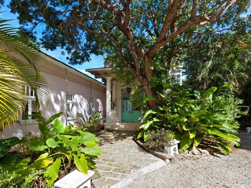 In the Trees - Sion Hill , St James , West Coast 