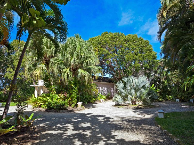 In the Trees - Sion Hill , St James , West Coast 