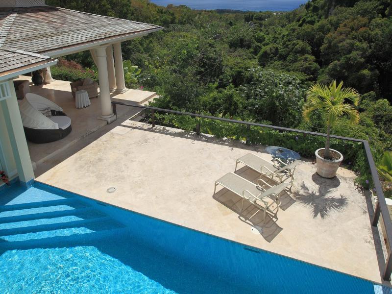 In the Trees - Sion Hill , St James , West Coast 