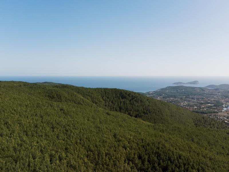 Secluded Ibizan historical farmhouse , Ibiza , North East 